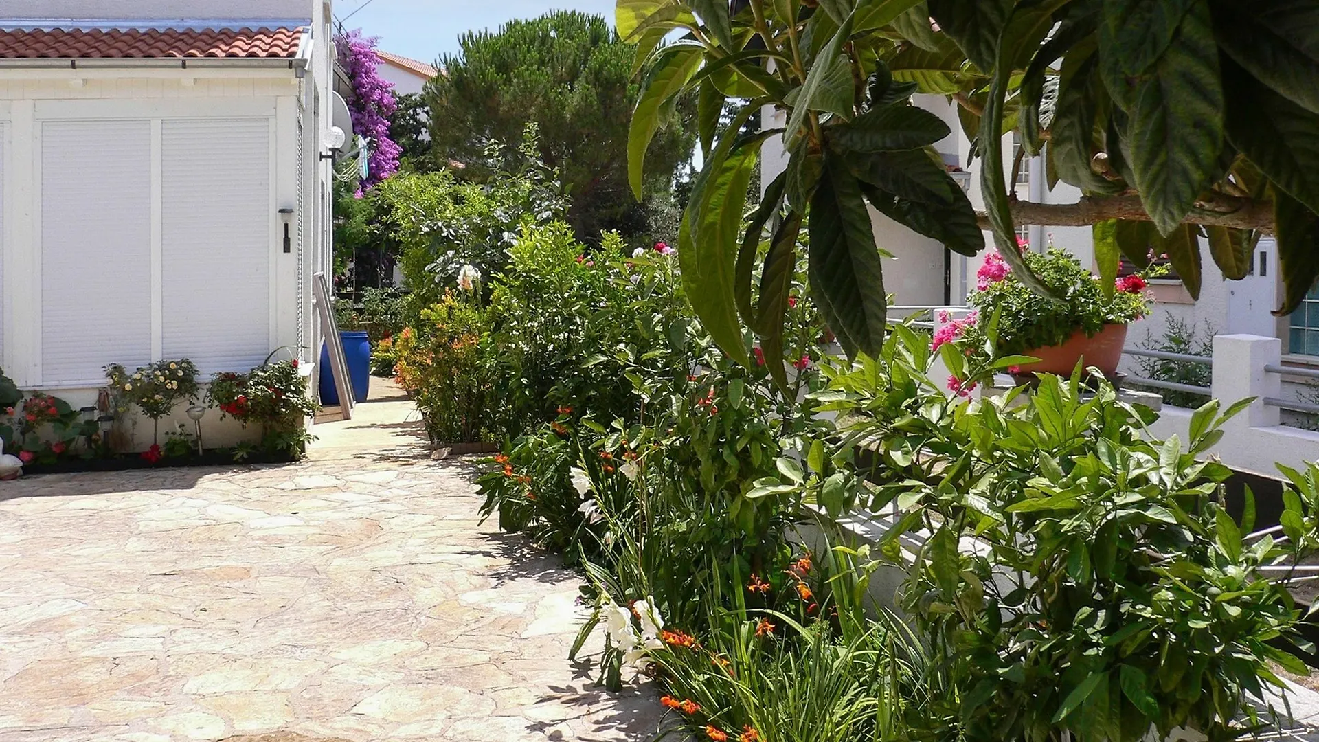 Modern Apartment On The Dalmatian Coast With Terrace, Garden And Sea V Petrcane